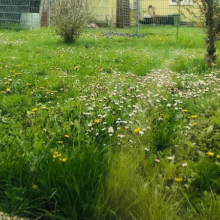 Ferienwohnung Feldmann Freckenfeld Dış mekan fotoğraf