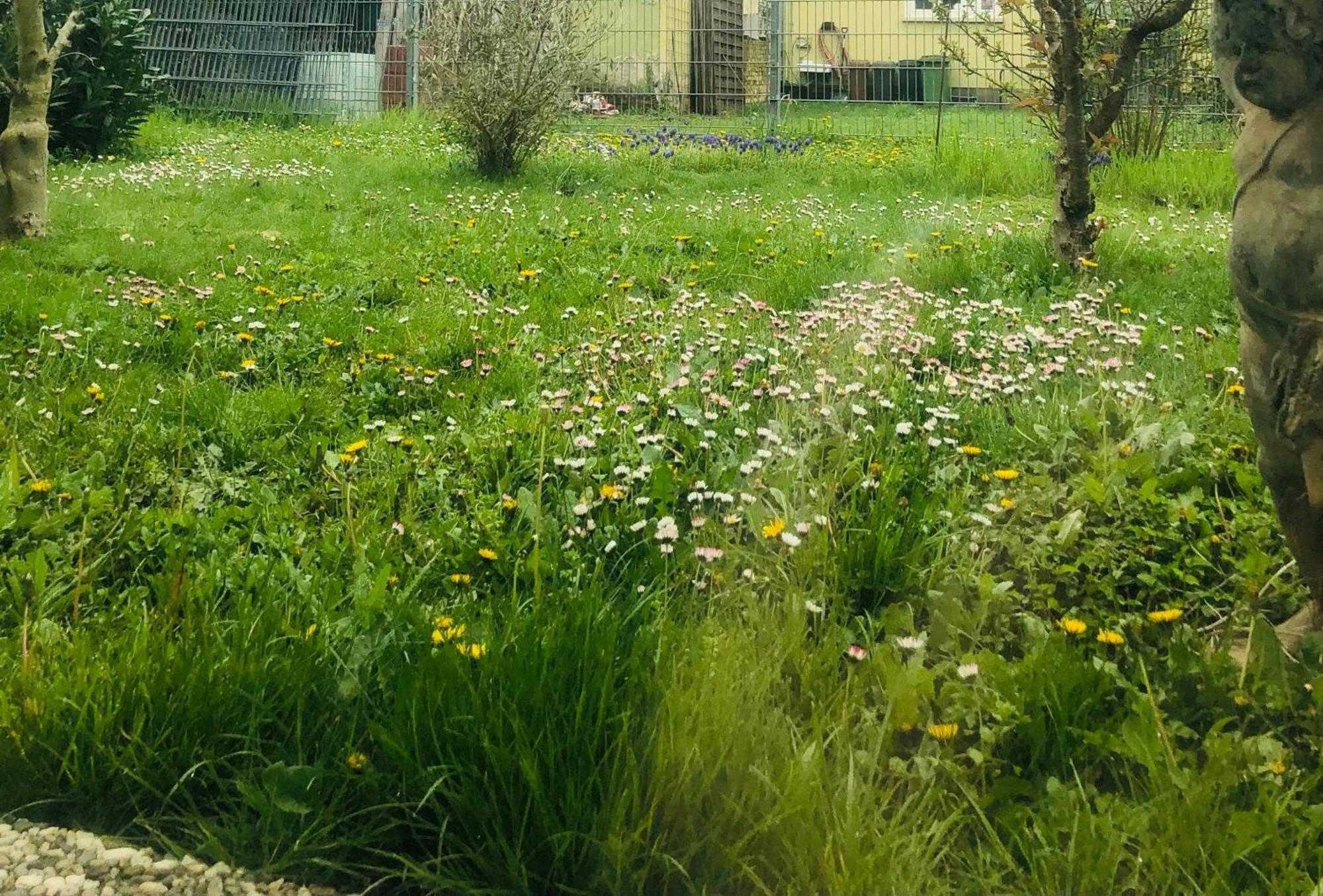 Ferienwohnung Feldmann Freckenfeld Dış mekan fotoğraf